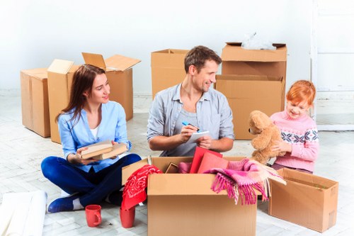 Professional van service for furniture delivery in Balham